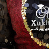 دورسخمه جلیقه یا خار پولکی